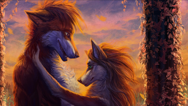 Foxes forest sunset warm colors free wallpaper for desktop - medium preview image