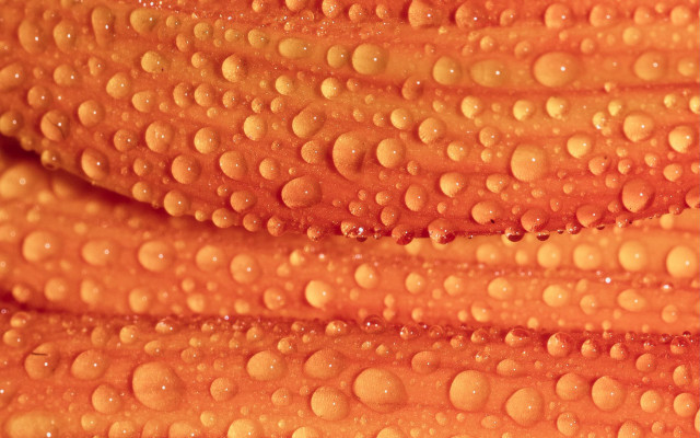 Water droplets orange abstract macro free wallpaper for desktop - medium preview image