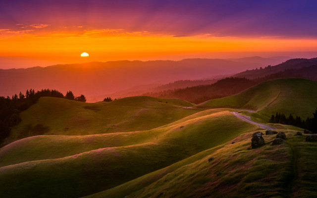 Sunset grassy hill road trees free wallpaper for desktop - medium preview image