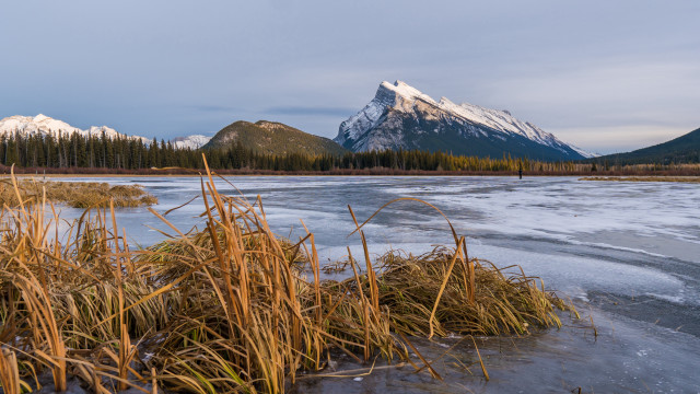 Frozen lake mountain trees snow free wallpaper for desktop - medium preview image