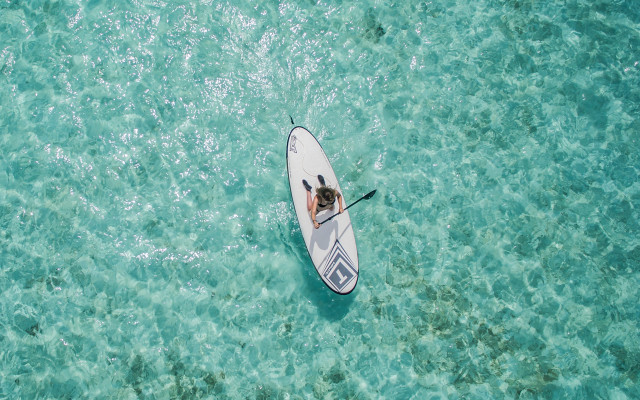 Paddle boarder ocean sunny day free wallpaper for desktop - medium preview image