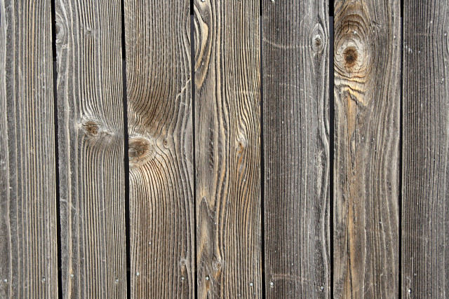 Wooden fence bird closeup minimalism free wallpaper for desktop - medium preview image