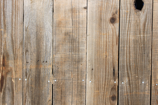 Cat sitting wooden fence looking free wallpaper for desktop - medium preview image