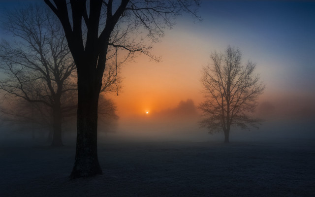 Foggy field trees sunset volumetric free wallpaper for desktop - medium preview image