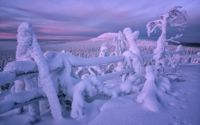 Snowy landscape fence trees sunset free wallpaper for desktop - medium preview image
