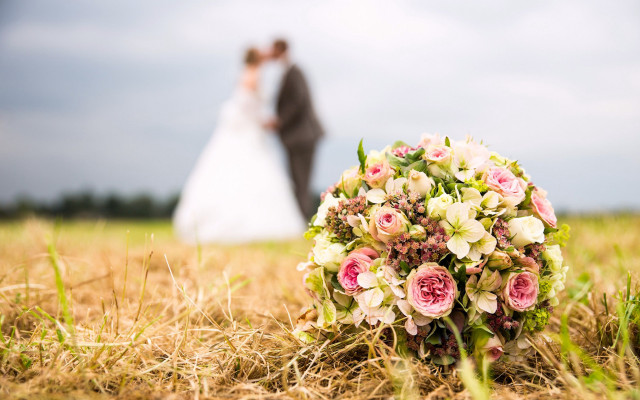 Bride groom flower field blur free wallpaper for desktop - medium preview image