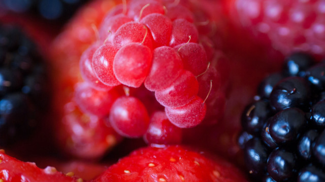 Berries closeup macro photorealism blurry free wallpaper for desktop - medium preview image