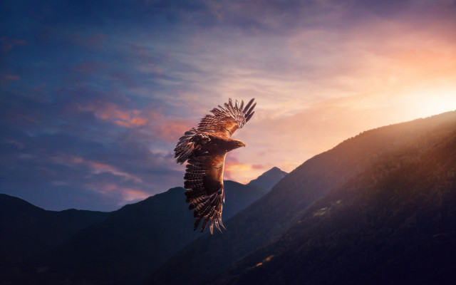 Bird sunset mountains sunbeam cinematic free wallpaper for desktop - medium preview image