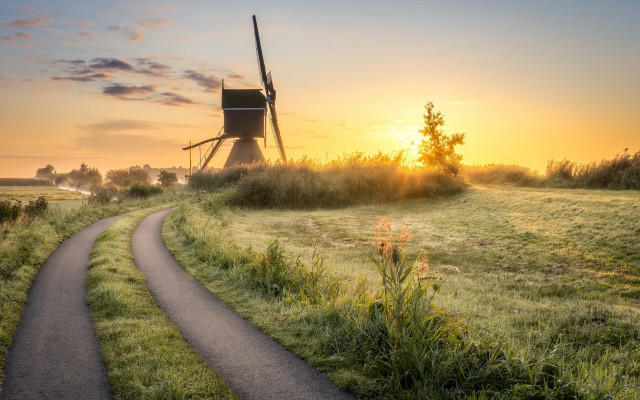 Windmill path field grass weed free wallpaper for desktop - medium preview image