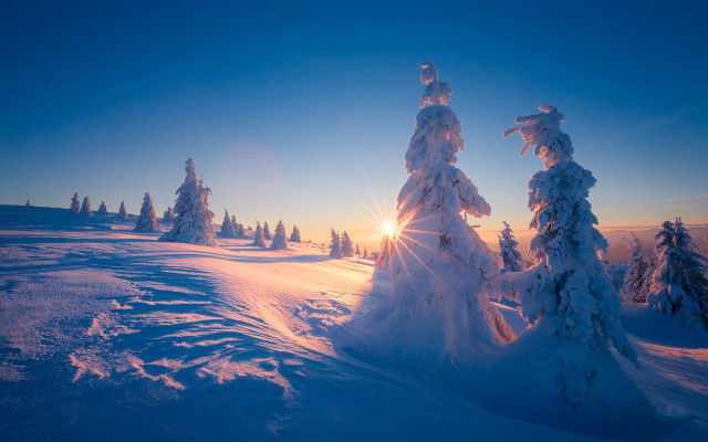 Snowy landscape trees sunshine clouds free wallpaper for desktop - medium preview image