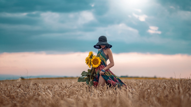 Woman dress hat wheat sunflowers free wallpaper for desktop - medium preview image