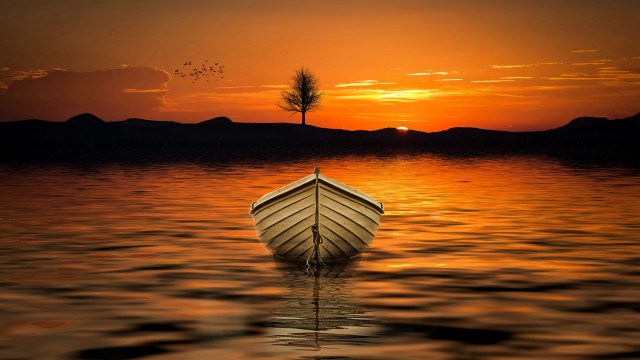 Sunset lake boat tree bird free wallpaper for desktop - medium preview image