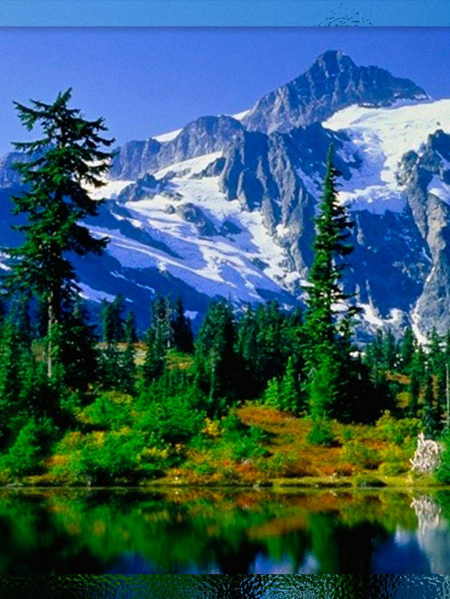 Mountain range lake trees foreground #4 free wallpaper for mobile - medium preview image