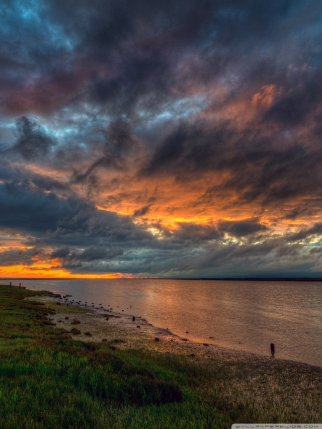 Sunset water person walking shore free wallpaper for mobile - medium preview image