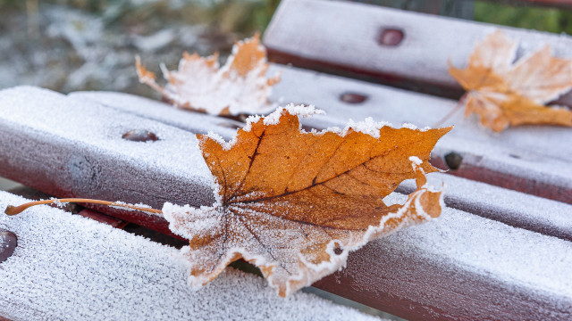 Leaf bench snow park winter free wallpaper for desktop - medium preview image