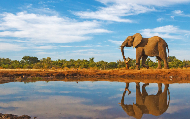 Elephant water sky clouds ecological free wallpaper for desktop - medium preview image