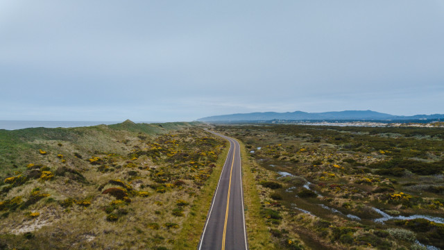 Lush green field yellow flowers #5 free wallpaper for desktop - medium preview image