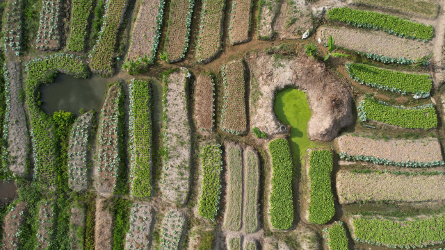 Field pond rock grass dirt free wallpaper for desktop - medium preview image