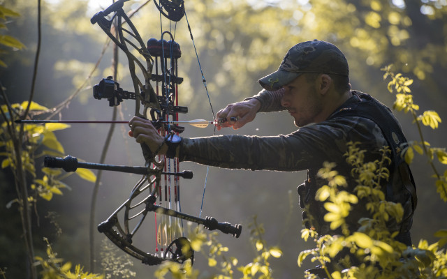 Man aiming bow woods dandelion free wallpaper for desktop - medium preview image