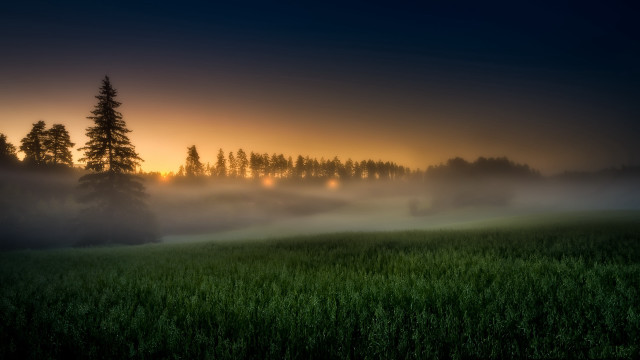 Foggy sunset mountain lake forest free wallpaper for desktop - medium preview image