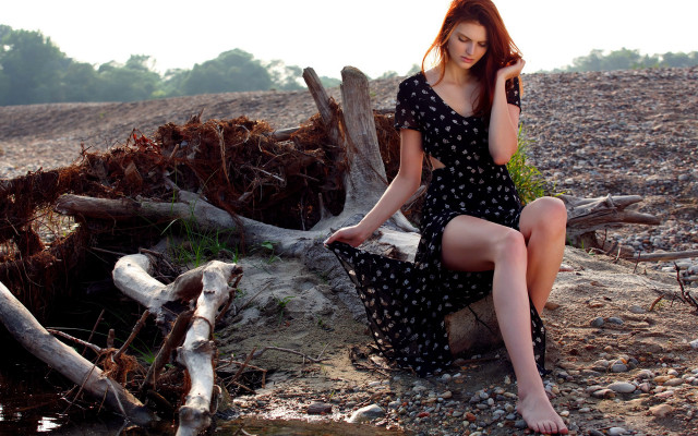 Woman sitting rock tree stump free wallpaper for desktop - medium preview image