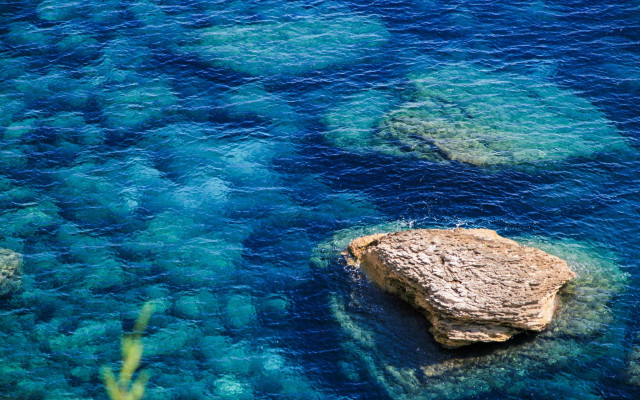 Rock water plant beach ocean free wallpaper for desktop - medium preview image