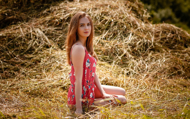 Woman sitting hay field crossed free wallpaper for desktop - medium preview image