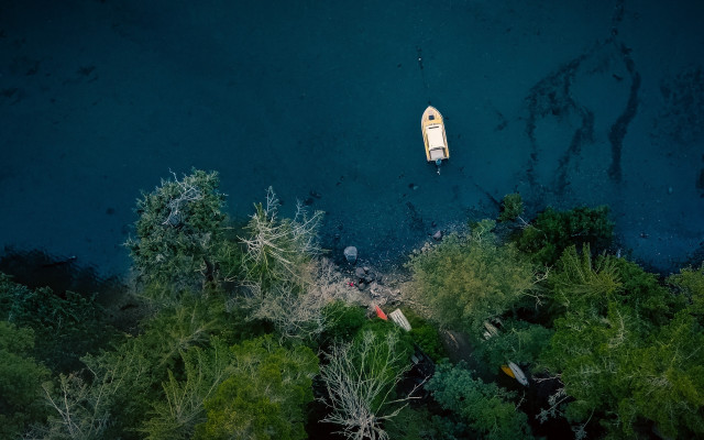 Boat forest water fireflies night free wallpaper for desktop - medium preview image