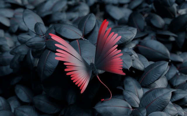 Red butterfly leaves black ground free wallpaper for desktop - medium preview image