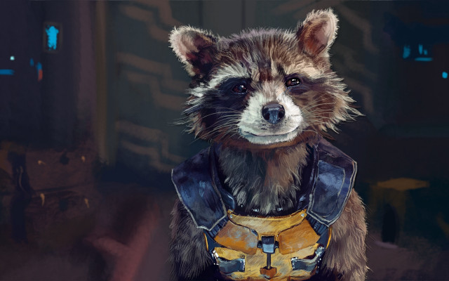 Raccoon leather outfit helmet chest free wallpaper for desktop - medium preview image