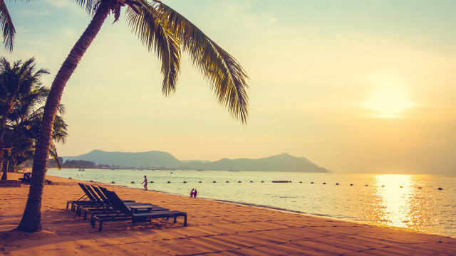 Beach palm tree sunset lounge free wallpaper for desktop - medium preview image