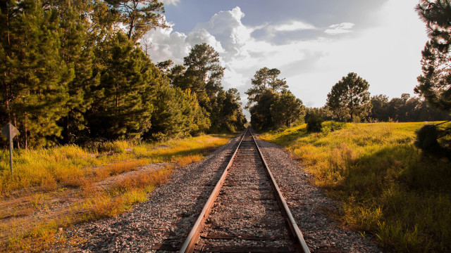 Train grass trees clouds autumn free wallpaper for desktop - medium preview image