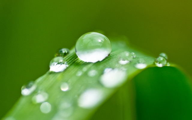Green leaf water droplets macro #19 free wallpaper for desktop - medium preview image