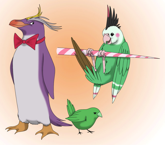 Birds standing stick candy cane free wallpaper for tablet - medium preview image