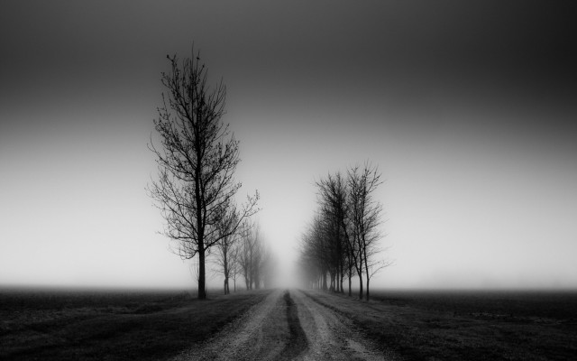 Dirt road field trees distance free wallpaper for desktop - medium preview image
