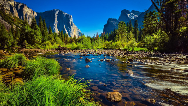 River forest mountains waterfall landscape free wallpaper for desktop - medium preview image