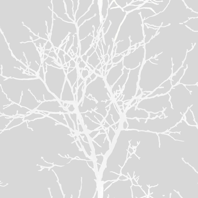 White tree no leaves gray free wallpaper for tablet - medium preview image