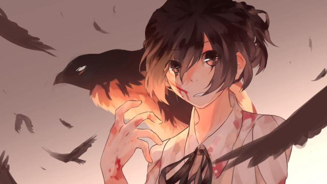 Woman bird bleeding wings shameimaru free wallpaper for desktop - medium preview image