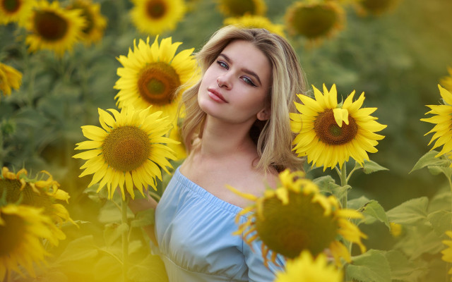 Sunflower field woman portrait blurry free wallpaper for desktop - medium preview image