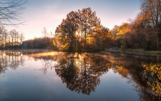 Lake reflective autumn leaves trees free wallpaper for desktop - medium preview image