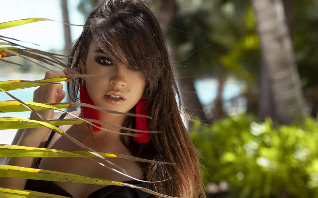 Woman longhair redscarf palmleaves fashion free wallpaper for desktop - medium preview image