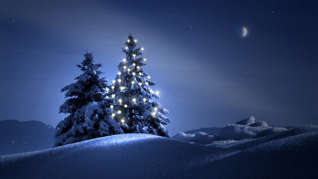 Snowy hill christmas tree moon free wallpaper for desktop - medium preview image