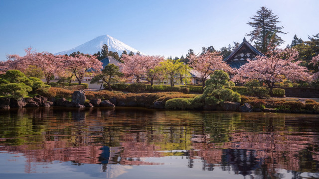 Mountain lake trees pink flowers free wallpaper for desktop - medium preview image