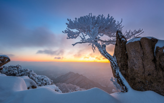 Sunset tree snowy mountain cloudy free wallpaper for desktop - medium preview image