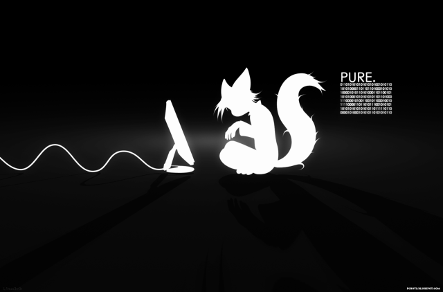 Black white cat light pure free wallpaper for desktop - medium preview image