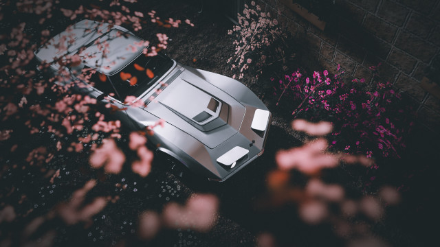 Car bush cherry blossoms night free wallpaper for desktop - medium preview image