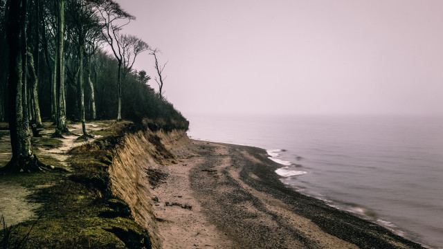 Sandy beach cliff trees water free wallpaper for desktop - medium preview image