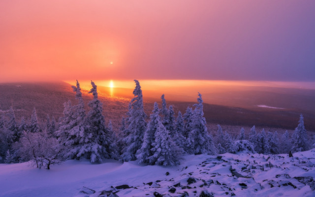 Sunset snowy mountain forest foggy free wallpaper for desktop - medium preview image