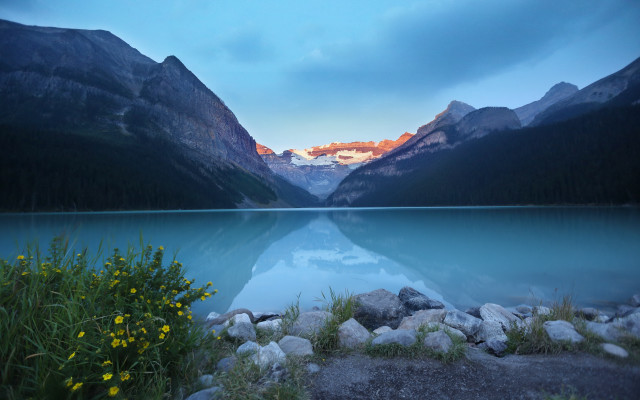 Lake mountains forest sunset flowers free wallpaper for desktop - medium preview image