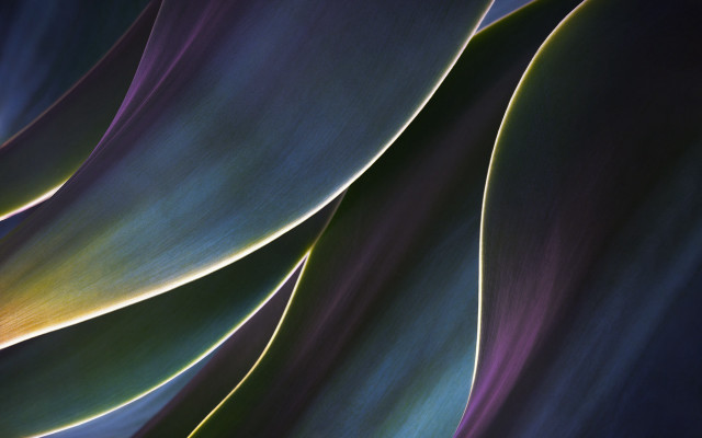 Green purple plant ultrafine abstract free wallpaper for desktop - medium preview image